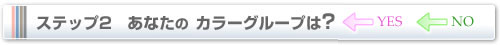 ステップ2　あなたのカラーグループは？